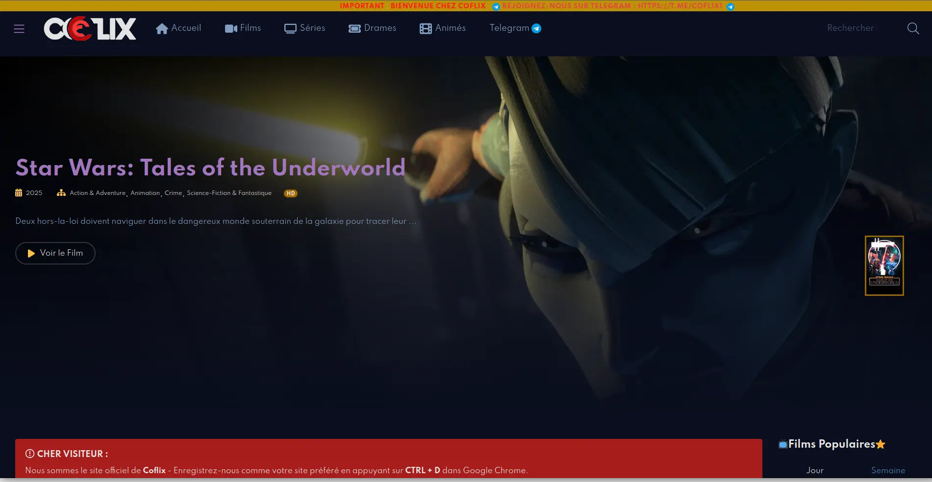 page d'accueil de coflix